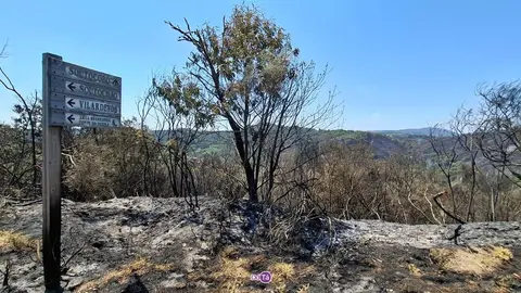 Entrada a Soutocobo, una de las zonas donde comenz&oacute; el incendio de Vilardev&oacute;s la noche del 1 de agosto.