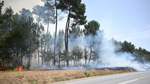 Incendio en entre Tamagos y Mourazos.