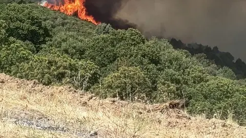 La cabeza del fuego, este lunes, pocos minutos despu&eacute;s de iniciarse.