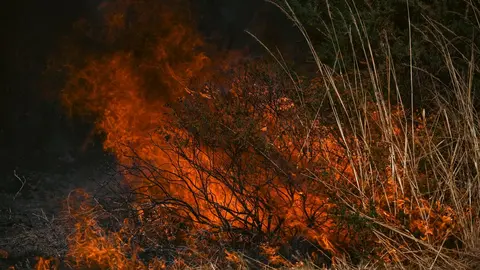 20250812 IFAGranxaO&iacute;mbra, incendio O&iacute;mbra, lume, as ch&aacute;s, a granxa, ladairo (43)