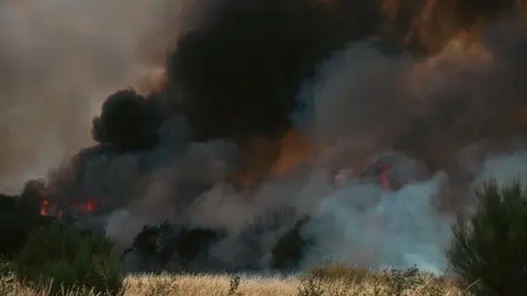 20250812 IFAGranxaO&iacute;mbra, incendio O&iacute;mbra, lume, as ch&aacute;s, a granxa, ladairo (44)