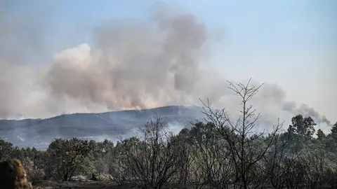 20250814 IFAEsculqueiraAMezquita, Incendio A Gudi&ntilde;a, O Canizo, tierra quemada (7)