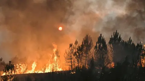 20250814 IFFumacesATrepaVilardev&oacute;s, Incendio Vilardev&oacute;s, Feilas