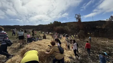 Xornada prevenci&oacute;n e recuperaci&oacute;n dos incendios forestais Cualedro