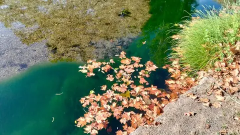 20251007  PSOE Laza Alga r&iacute;o T&aacute;mega Laza