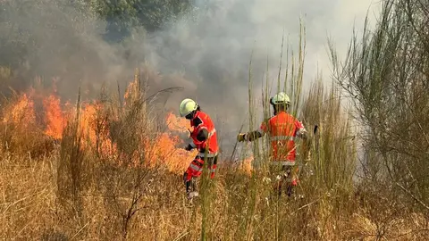 Imagen capturada por Noelia Caseiro en los incendios del verano de 2025.