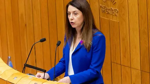 20251104 Mar&iacute;a Jos&eacute; G&oacute;mez orzamento incendios forestais parlamento