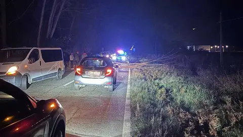 La circulaci&oacute;n por la OU-1011 estuvo cortada varios minutos, hasta que los efectivos de Emergencias retiraron parte del &aacute;rbol ca&iacute;do.