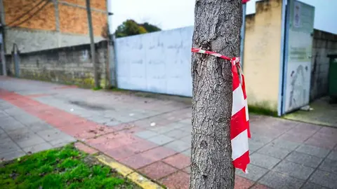 La polic&iacute;a acordon&oacute; la zona para que los sanitarios intentasen reanimar al nonagenario. | FOTO: Anabel G. Sim&oacute;n.