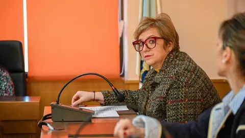 Sonia Arias Pereira ejerci&oacute; de portavoz accidental del Partido Popular, por incomparecencia de Lara Da Silva. | FOTO: Noelia Caseiro.