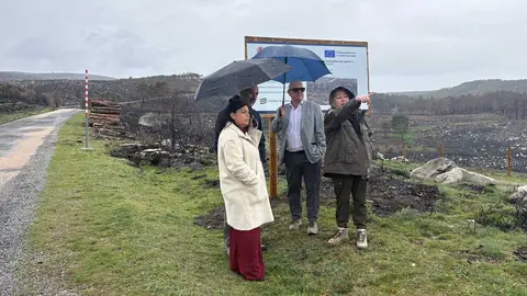 El subdelegado del Gobierno en Ourense, Eladio Santos, supervisa bajo la lluvia los trabajos de restauraci&oacute;n forestal financiados por el Estado.