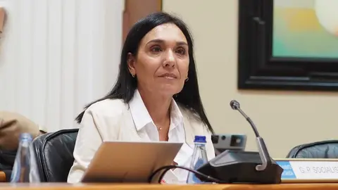 A Deputada Auton&oacute;mica por Ourense, Carmen Rodr&iacute;guez Dacosta