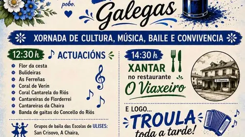 Cartel con la programaci&oacute;n detallada para el D&iacute;a das Letras Galegas en el municipio de Ri&oacute;s.