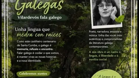 Captura da publicaci&oacute;n err&oacute;nea no D&iacute;a das Letras Galegas que foi retirada de xeito apresurado das redes de Vilardev&oacute;s.