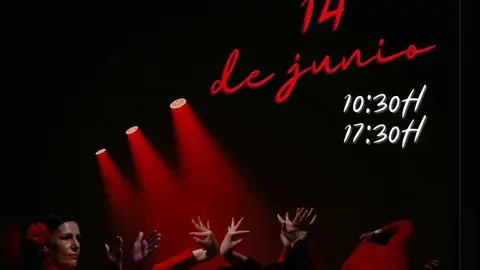 Cartel del Festival de Fin de Temporada de la Escuela de Danza Diversity, con dos galas el 14 de junio en el Auditorio de Ver&iacute;n.