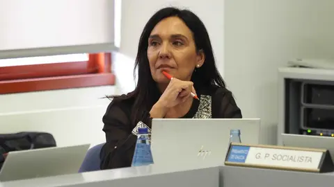 Carmen Rodr&iacute;guez Dacosta interpelar&aacute; a la conselleira do Medio Rural sobre el dispositivo de incendios.