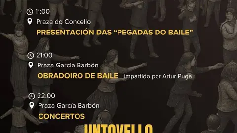 Cartel oficial da Foliada Seisporoito de Ver&iacute;n.