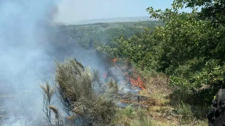 Estabilizado o lume da Mezquita que entrou desde Portugal e afectou 50 hectáreas en Manzalvos | NOTICIAS VERÍN