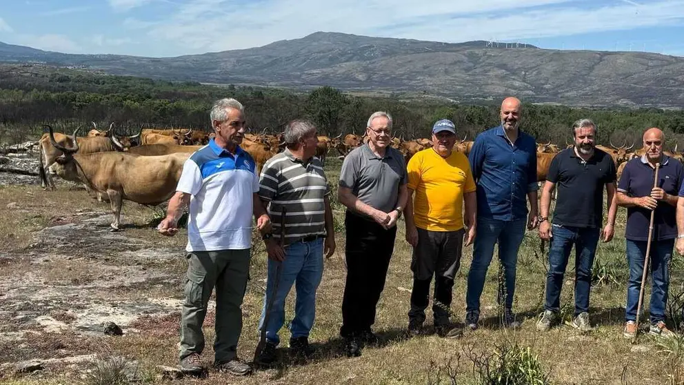 O director xeral de Gandar&iacute;a, Jos&eacute; Balseiros, xunto a gandeiros e representantes locais durante a visita &aacute; explotaci&oacute;n de vaca cachena en Cualedro.