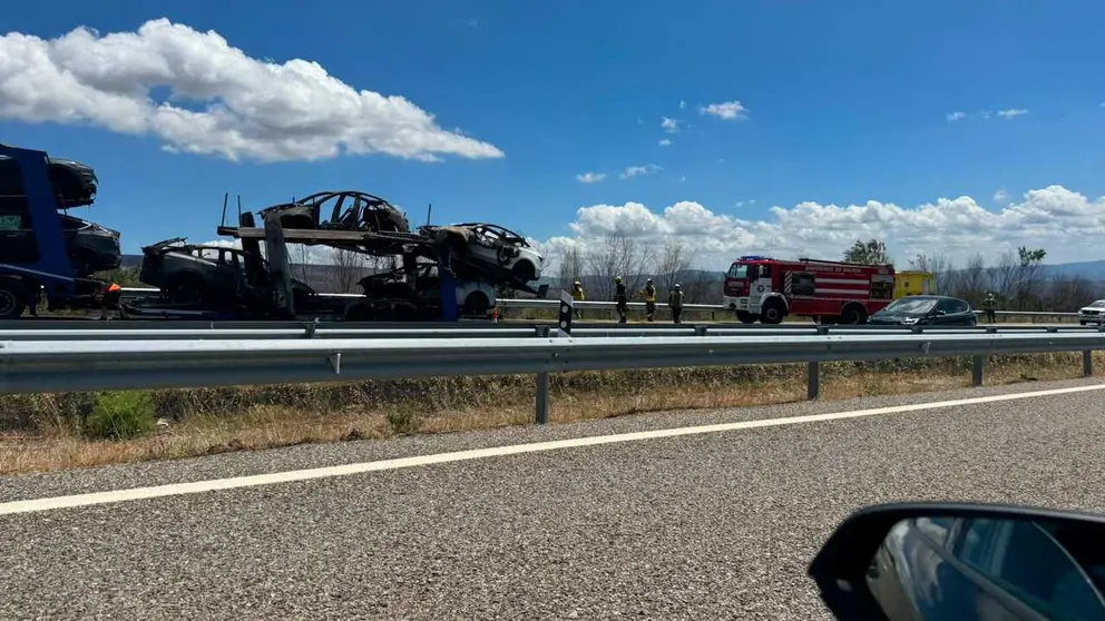 El cami&oacute;n transportaba veh&iacute;culos el&eacute;ctricos.