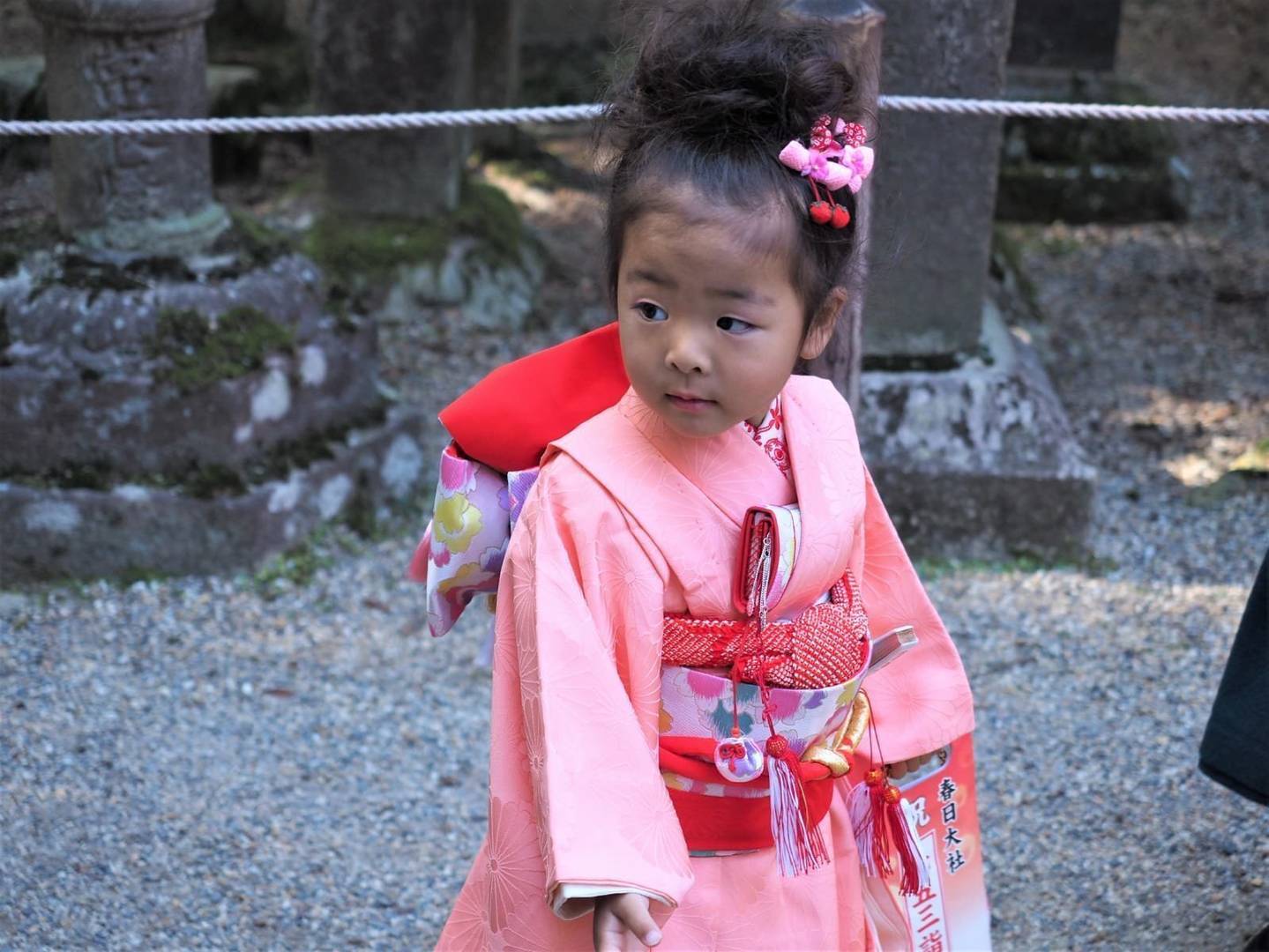 Japan 3