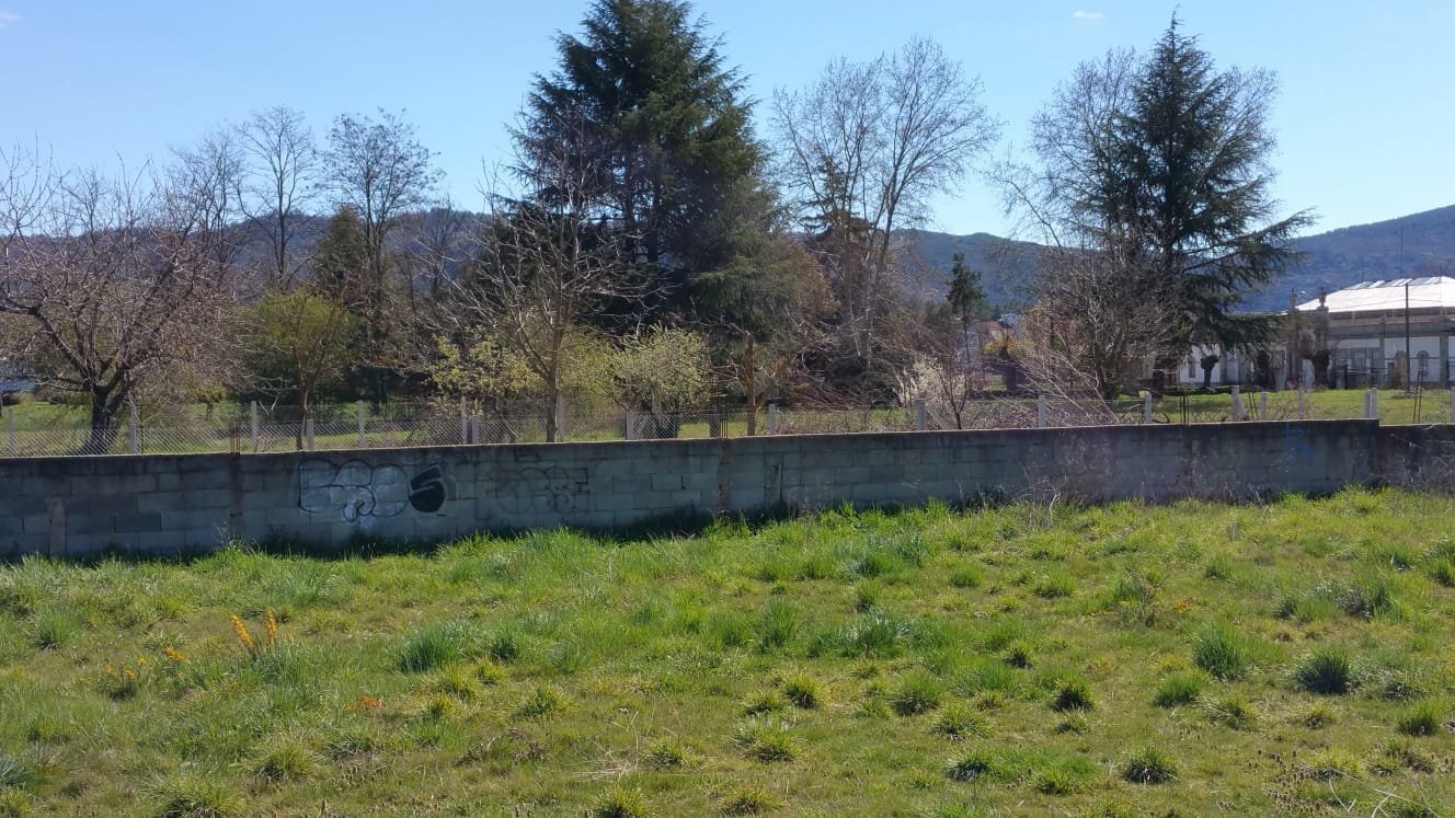 paseo3