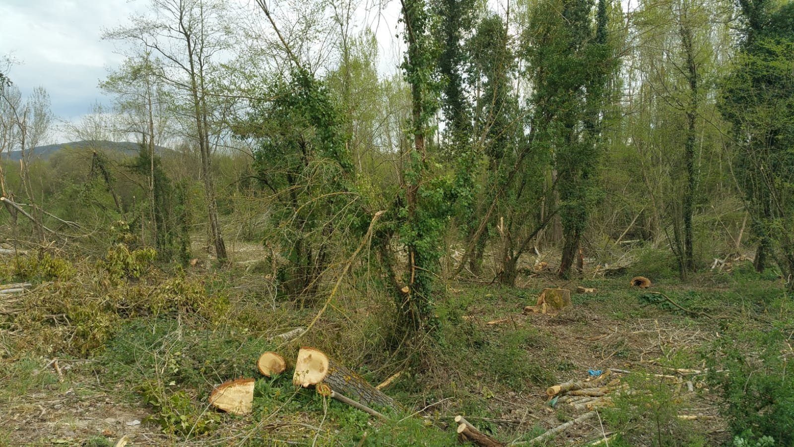 Finca en la que perdió la vida Amandio Pereira.