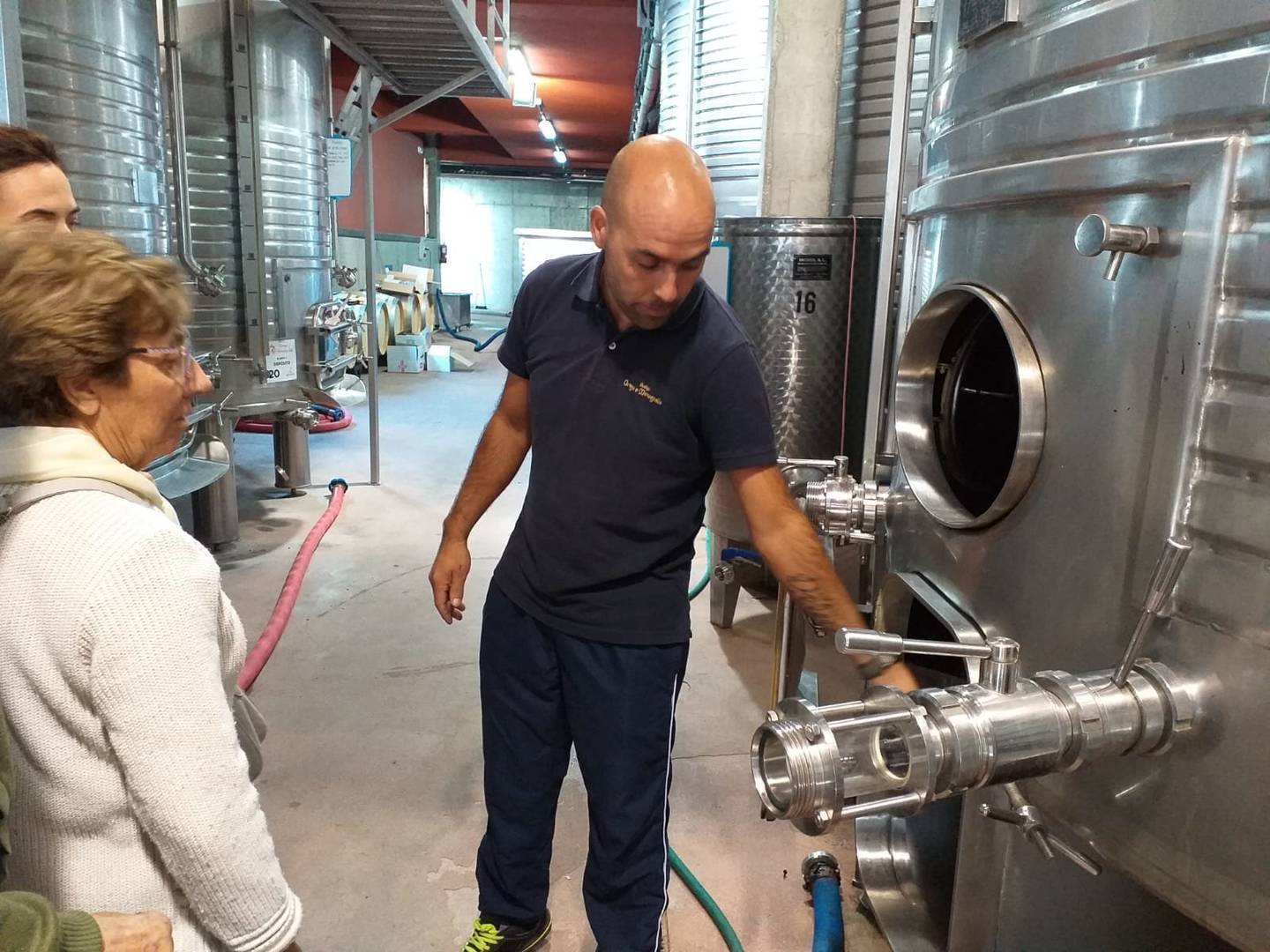 vino2