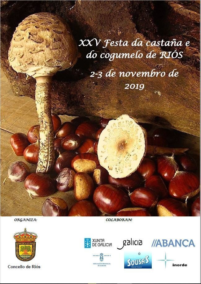 FESTA-DA-CASTAÑA-E-DO-COGUMELO-2019