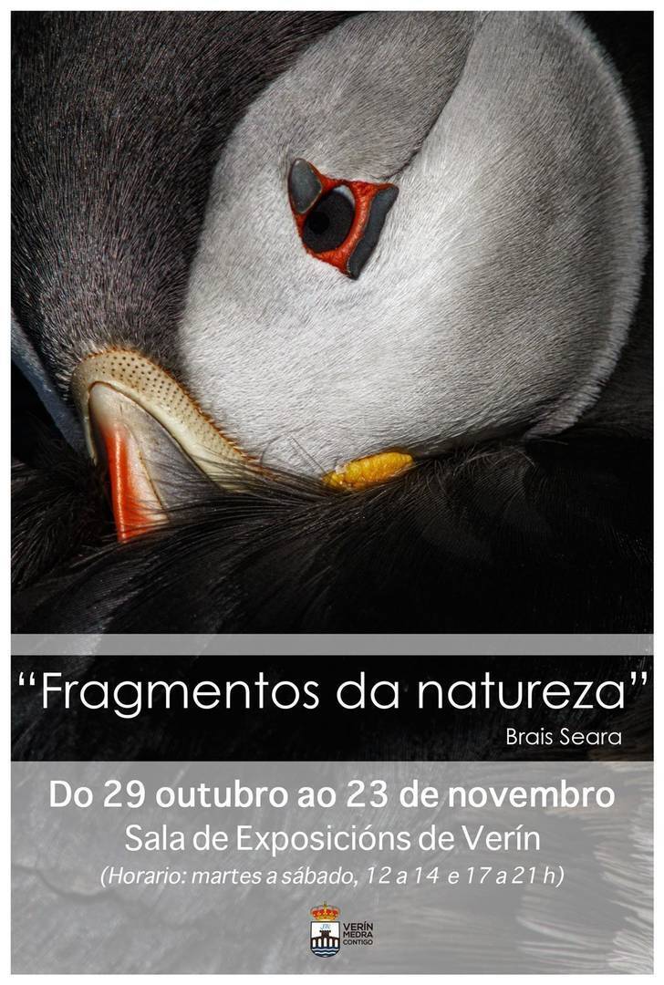 EXPO-BRAIS-SEARA_web