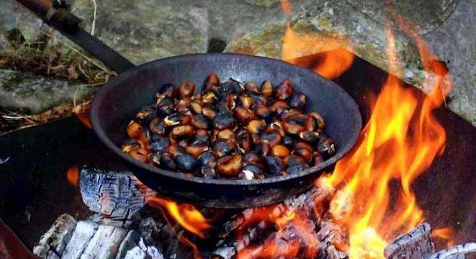 castañas e tixolo