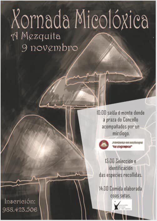 A Mezquita_xornada micolóxica_20191109