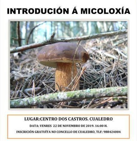 20191122_ xornada micolóxica