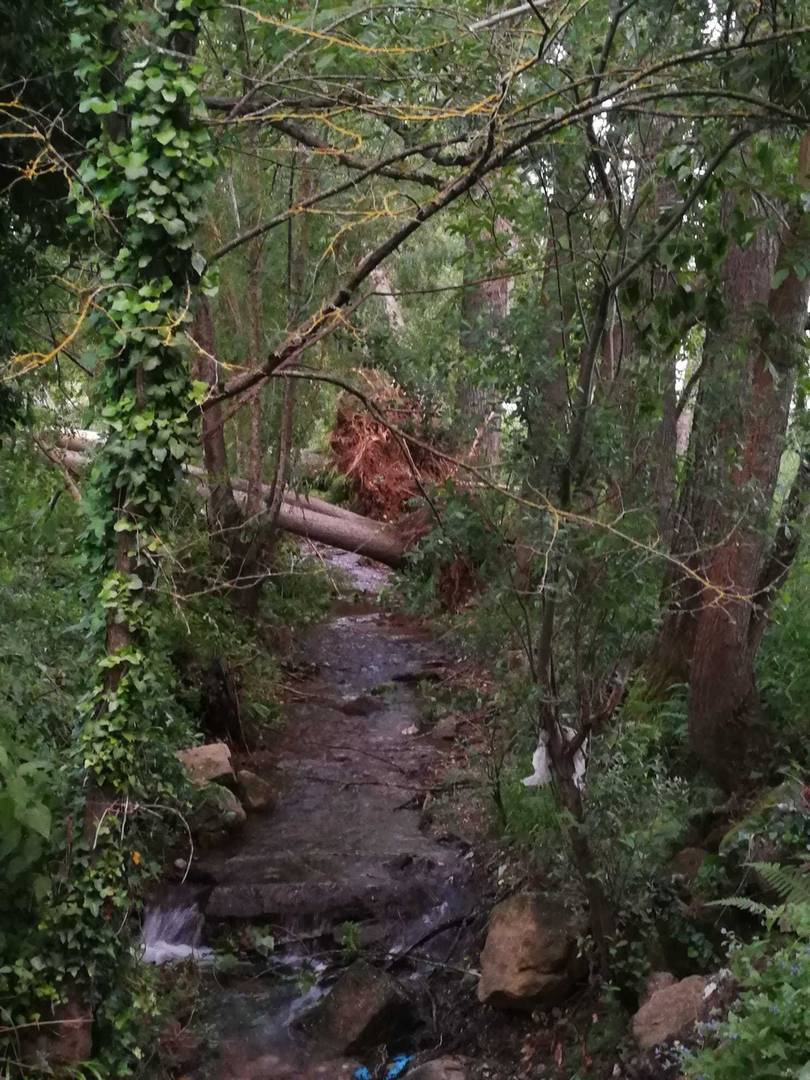 rio