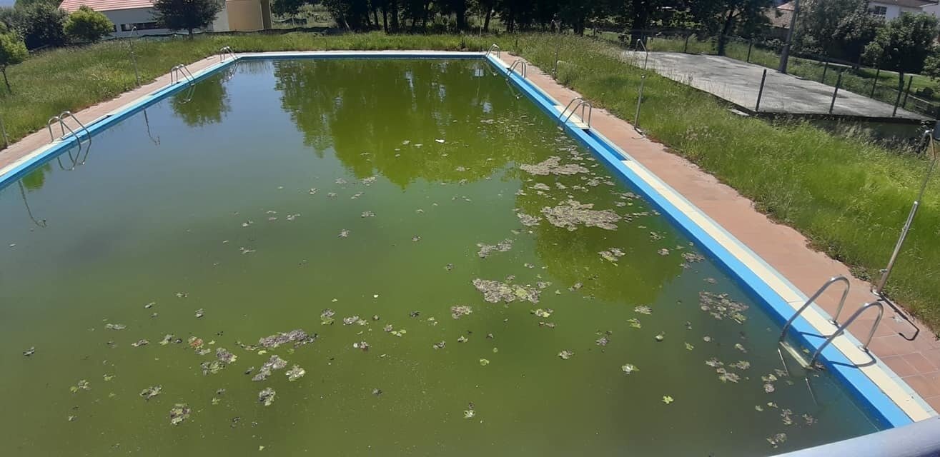 pisci1