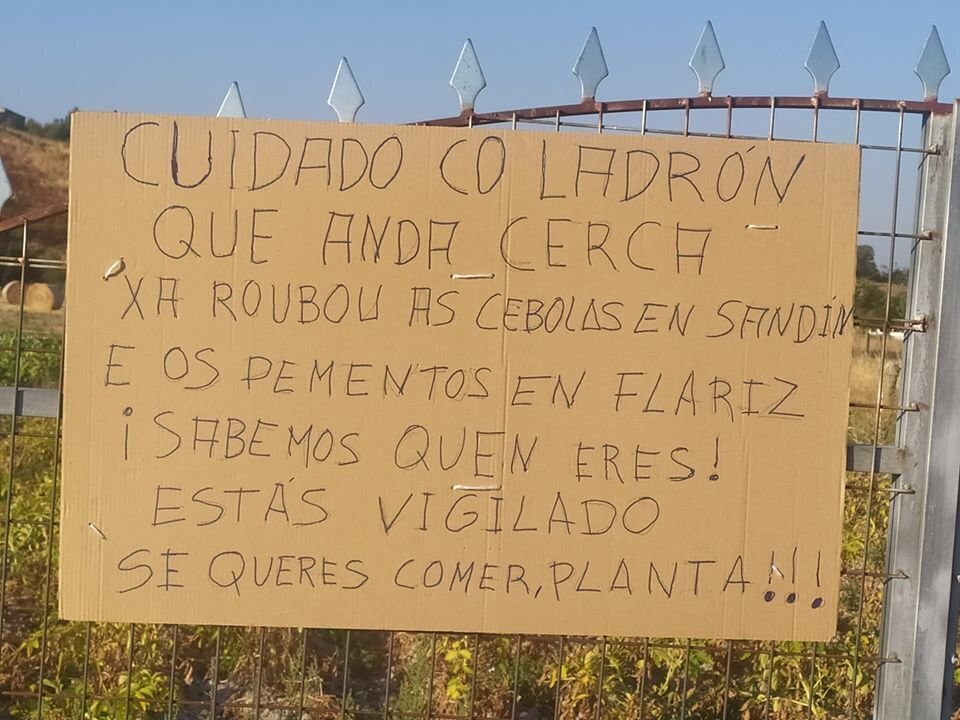 ladron2
