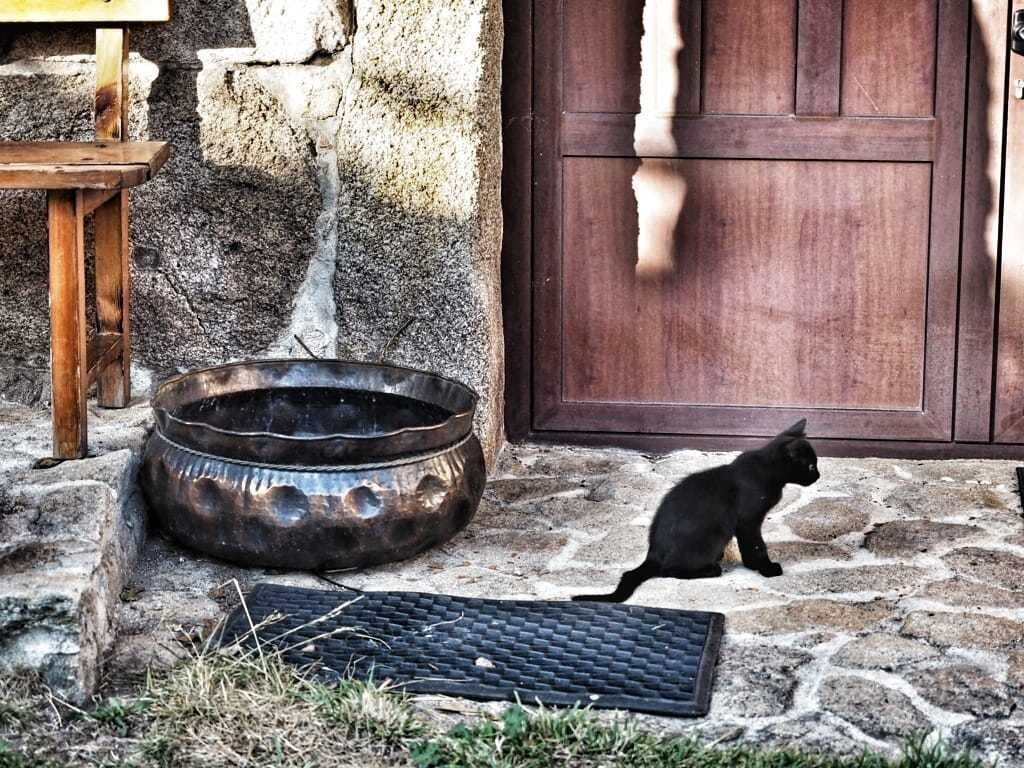 367