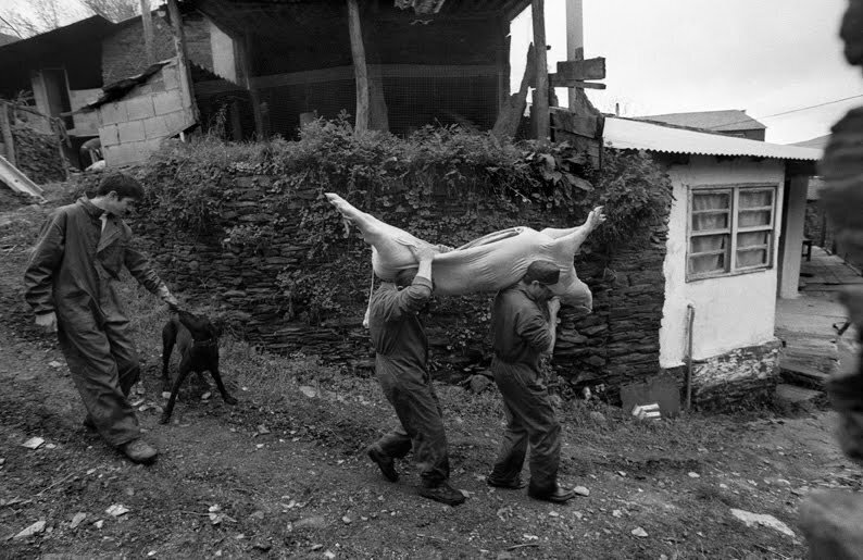 matanza-do-porco-cocido-gallego