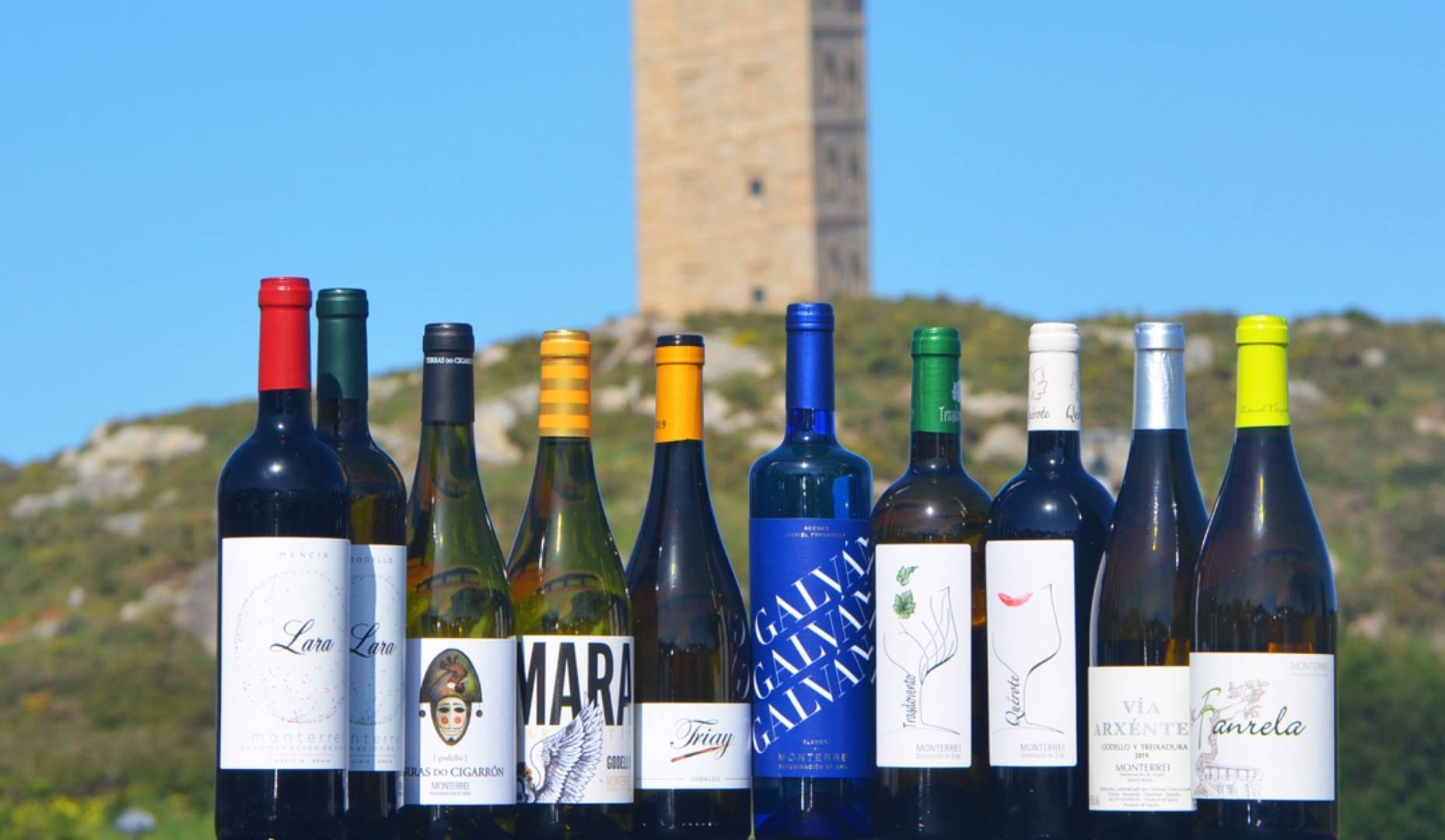 Viños da D.O. Monterrei_TuneLACoruña (1)