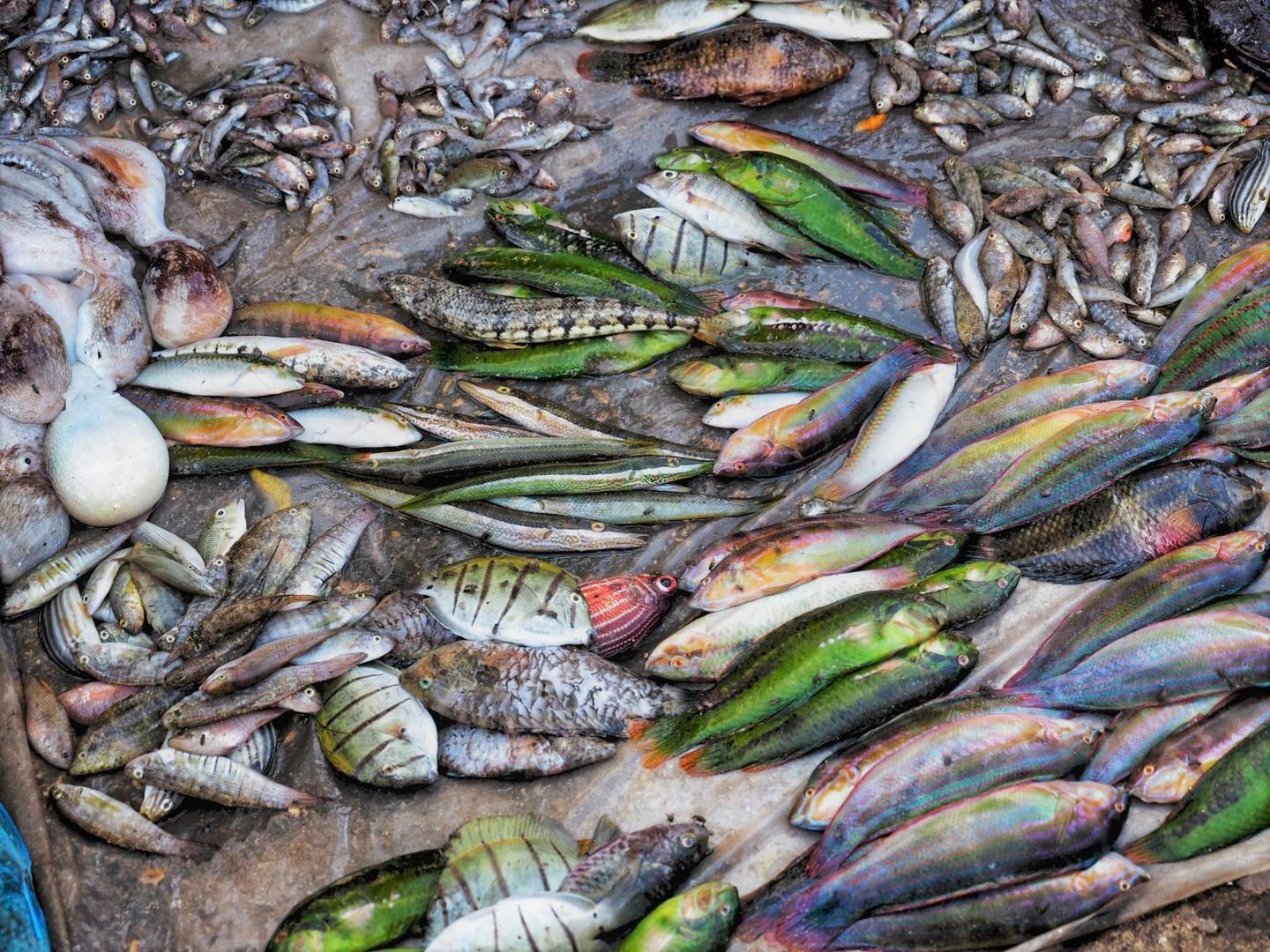 564