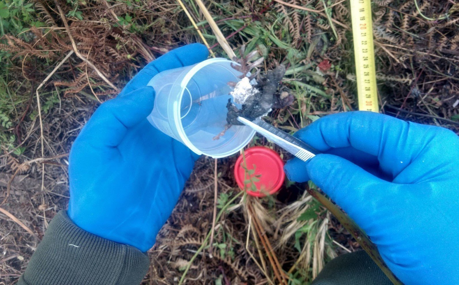 Investigación de la UIFO.