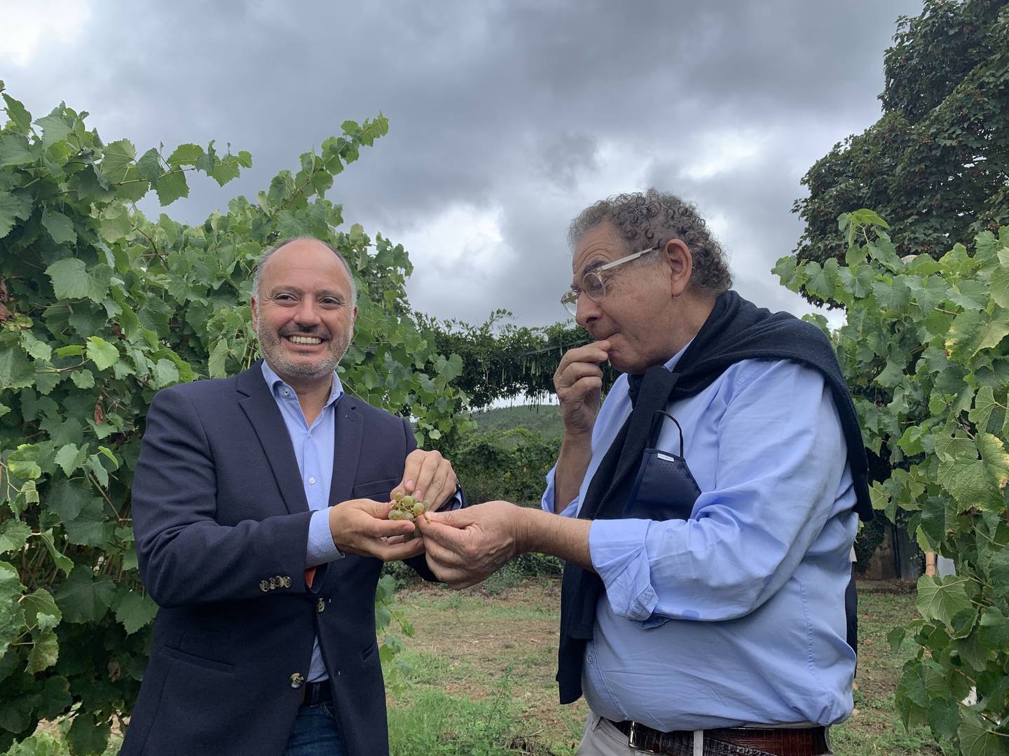 Regades y Verino probando las uvas de variedad albariño.