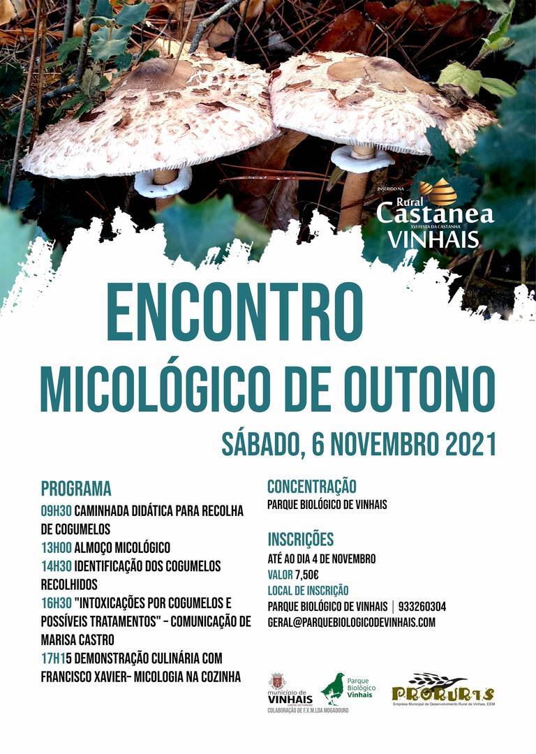 Xornadas micolóxicas no marco da Rural Castanea de Vinhais.