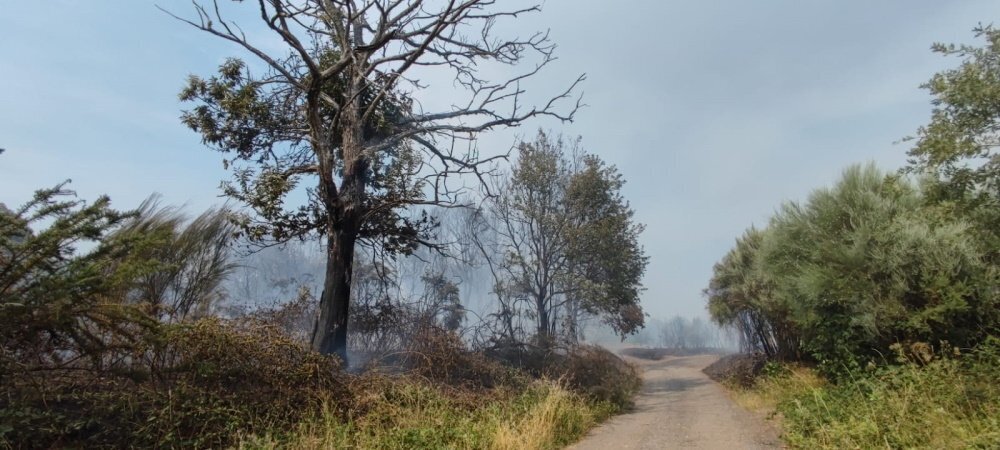 Incendio en Vilardevós este mércores. FOTO X. L. Colmenero (1)