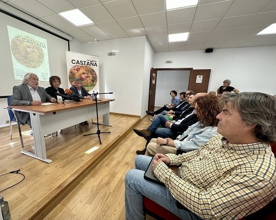 Rosendo Luis Fernández, presidente del Inorde; Eva Barrio, alcaldesa, y José Luis Chan, en la presentación del II Foro da Castaña.
