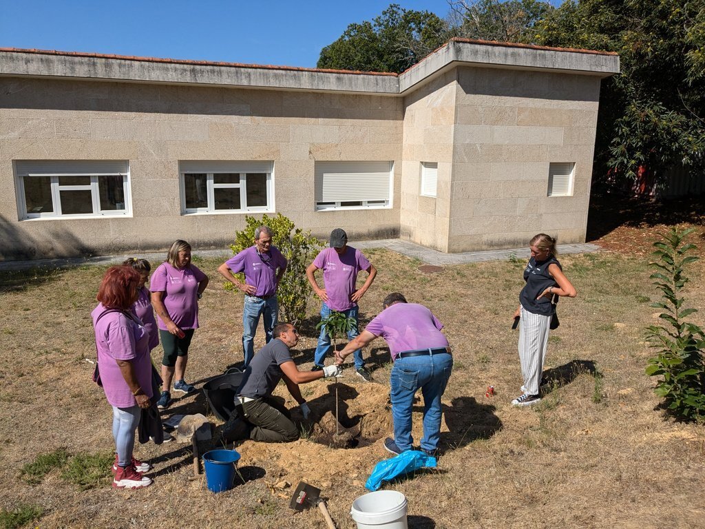 Curso de plantación y cuidado del castaño, en Riós.