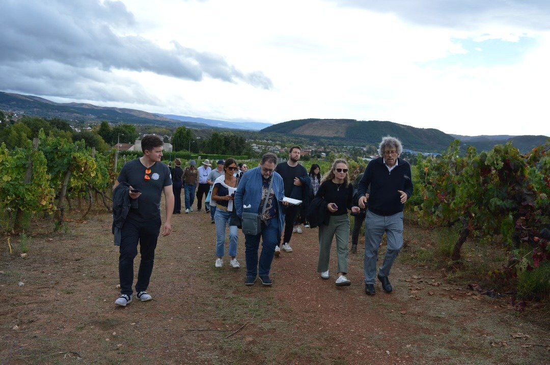 20240924 Visita 17 formadores Wine Scholar Guilde a DOMonterrei02_viñedos