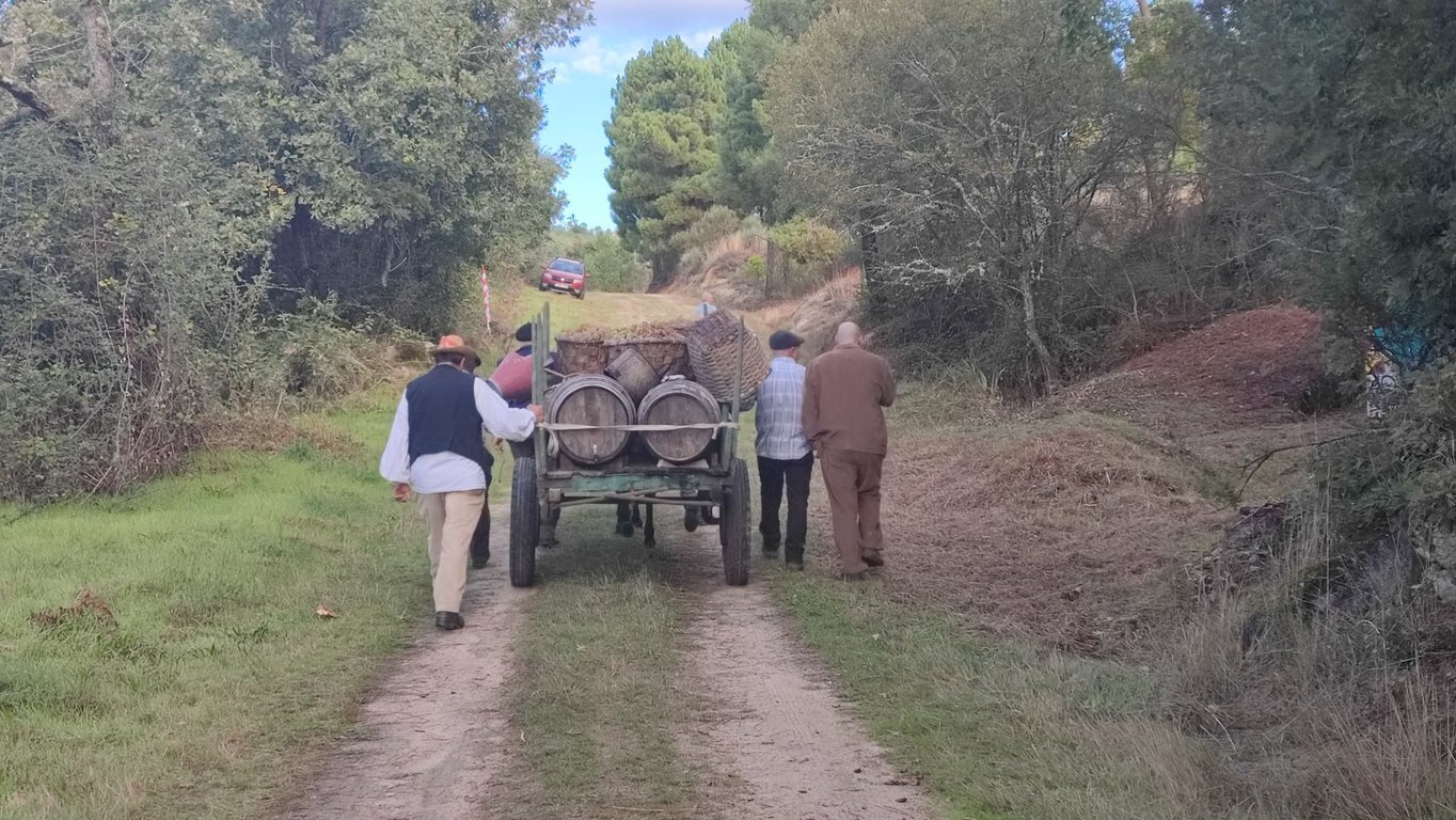 13102024 pisado de la uva Oímbra