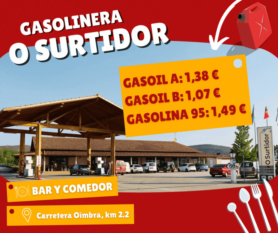 BANNER SURTIDOR CUADRADO