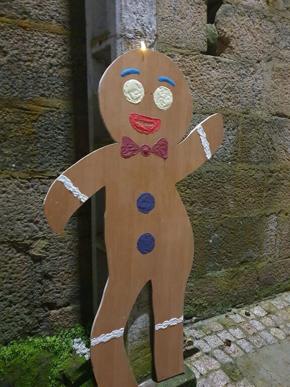 202312 Nadal en Rabal, decoración rúas